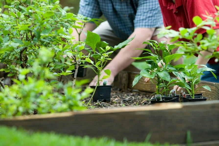 Mann und Kind Arbeiten im Blumenbeet