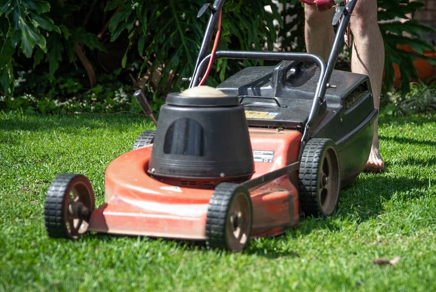 maulwurf vertreiben vibration Maulwurf-Ameisen-Abwehr Vibration | Maulwurfschreck mit Vibrationsmotor