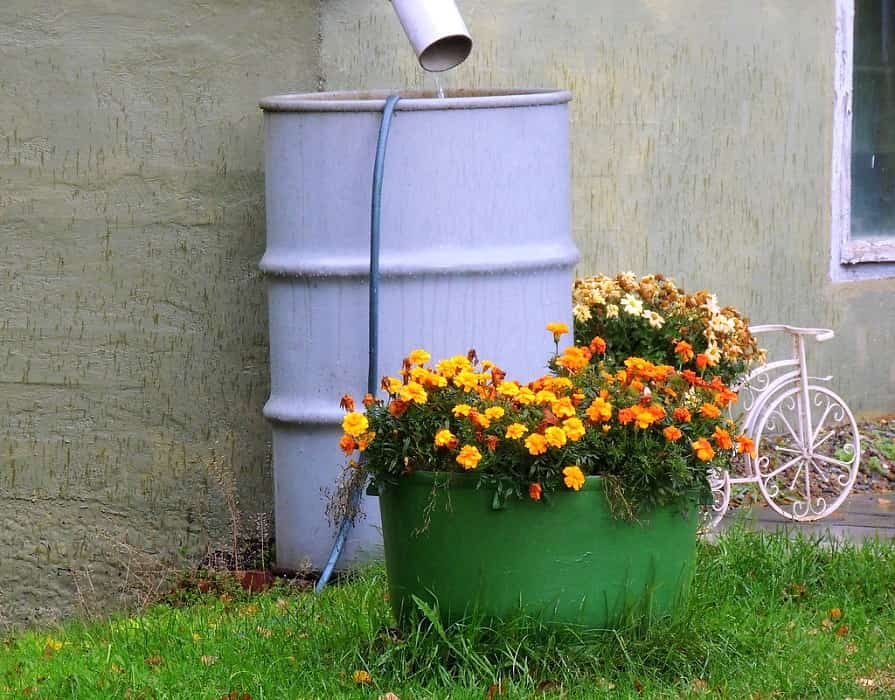 Regenwasser im Garten sammeln - hausinfo