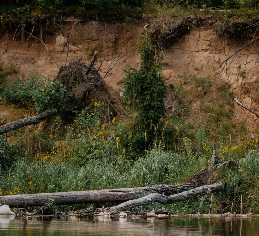 Erdrutsch am Fluss