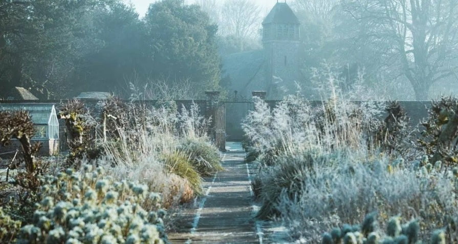 Garten im Winter mit Frost