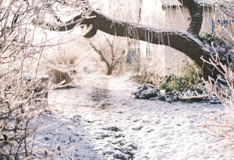 Damit ich dich nicht kalt lasse: Tipps gegen Frost im Winter