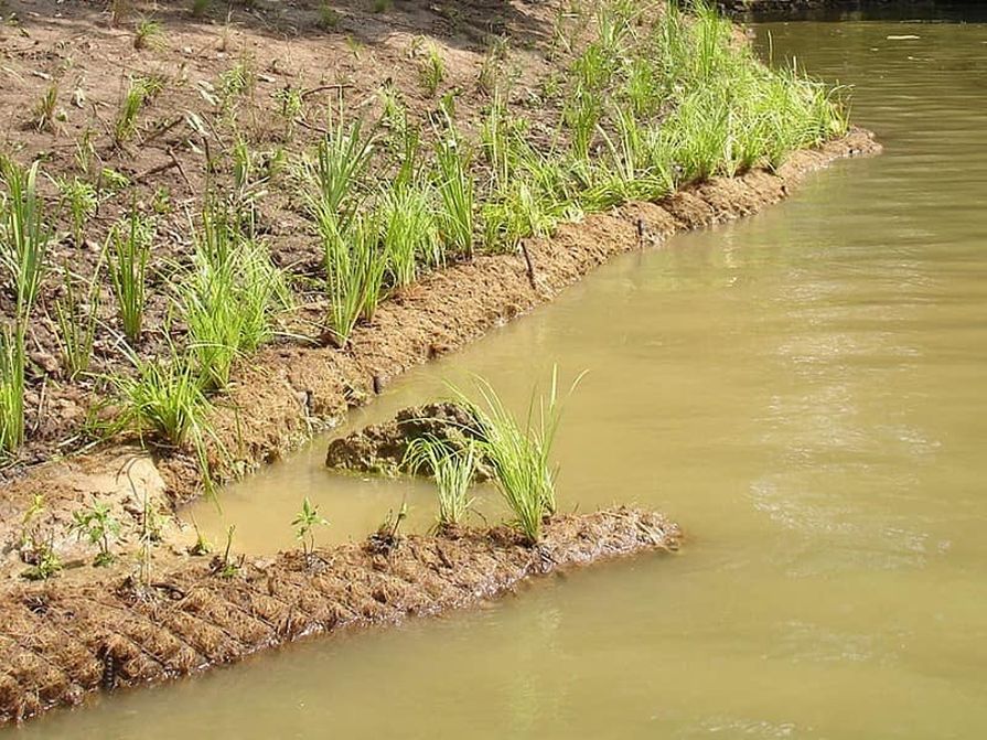 Kokoswalzen zur Ufersicherung am Flussufer