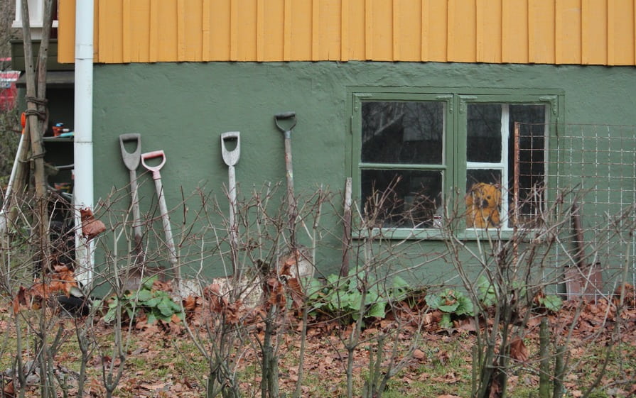 Schippen in einem Garten