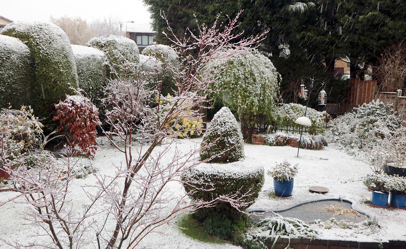 Garten im Winter