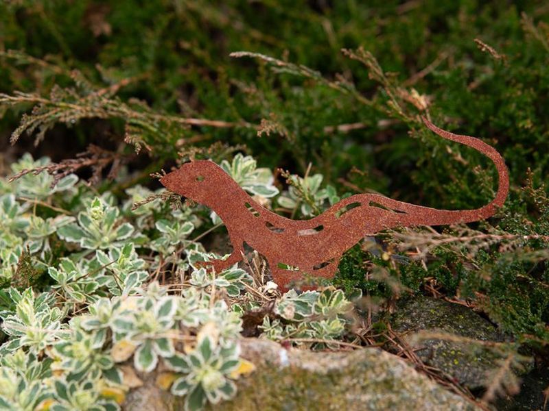Cortenstahl Gartendeko – Eidechse