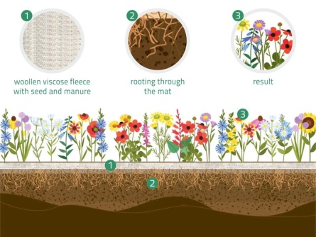 easygreen Meadow Dreams