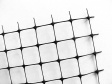 Maulwurfnetz (Maulwurfgitter)
