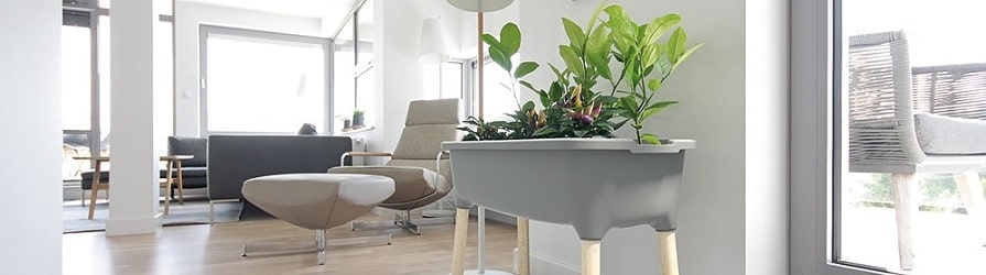 Blumentöpfe günstig kaufen