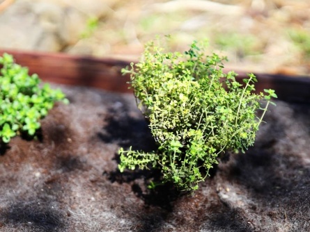 Fibio EKO W 200-400g