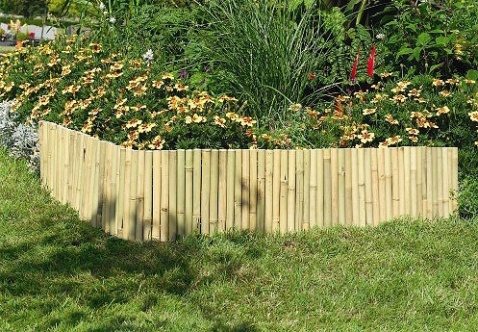 Bamboo Border