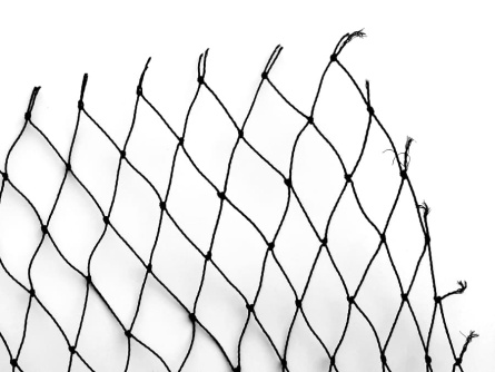 Birdnet K (60 g/m², Maschenweite 30×30 mm)