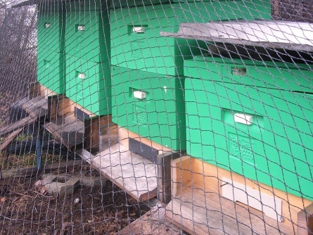 Birdnet R (25 g/m², Maschenweite 20×20 mm)