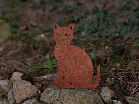 Katze