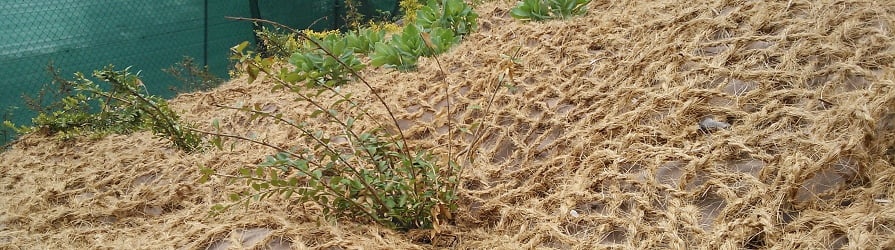 Kokosnetze