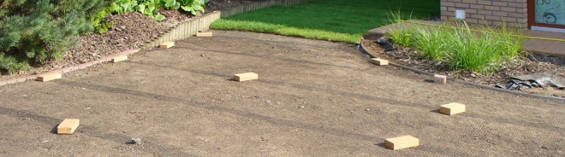 Maulwurf aus dem Garten vertreiben Effektive Methoden zur