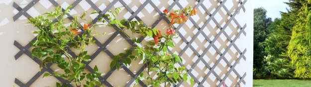 Rankhilfen und Rankgitter