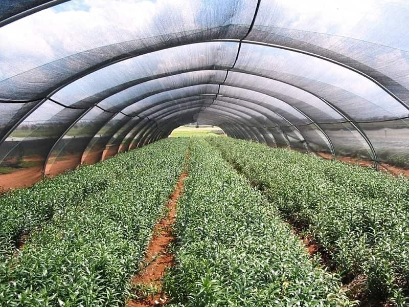 Sonnenschutznetz für den Außenbereich, Blumen-Schattennetz