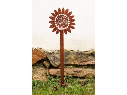 Sonnenblume