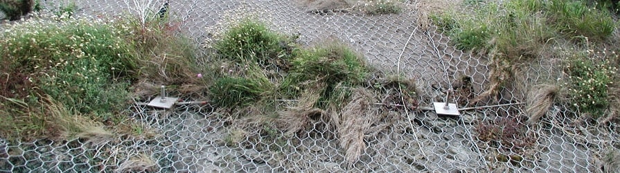 Drahtseilnetze