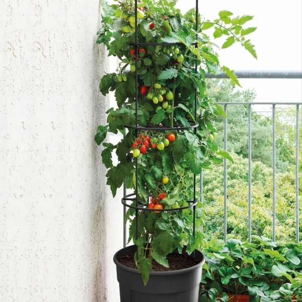 Tomatentopf Tomato Grower | GEO-mall.de