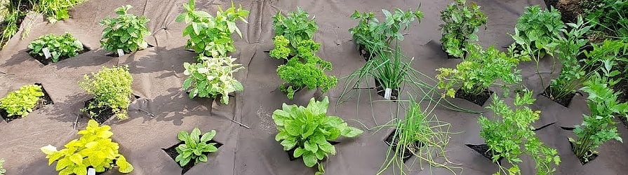 Unkrautvlies günstig online kaufen